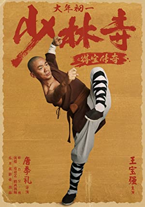 Rising Shaolin The Protector (2021) Hindi Dubbed